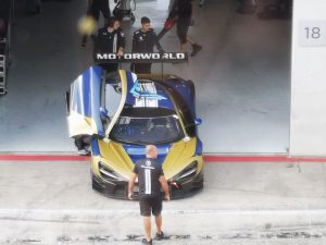 51.-A1-Ring-DTM-Training