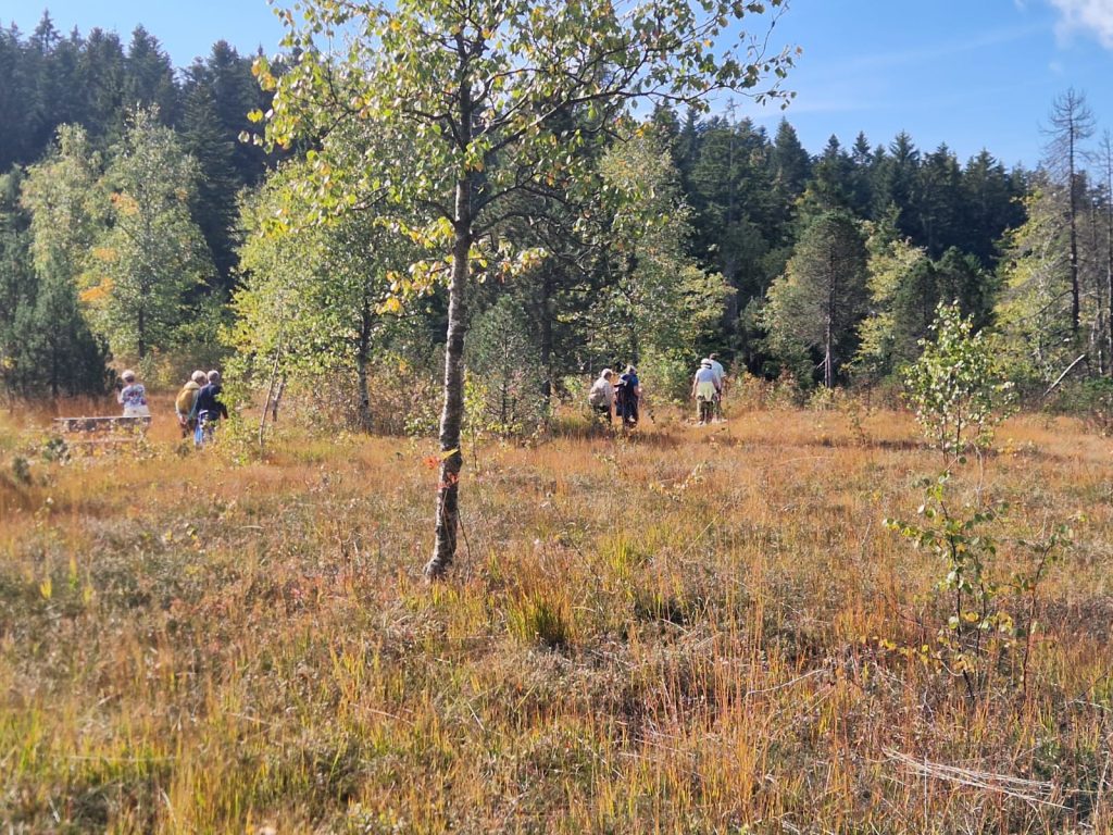 20161003_Wanderung_Sulzberg_20