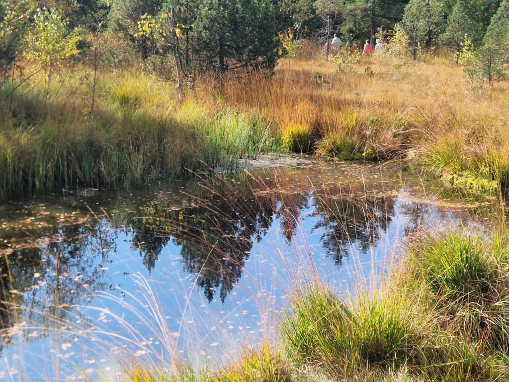 20161003_Wanderung_Sulzberg_22