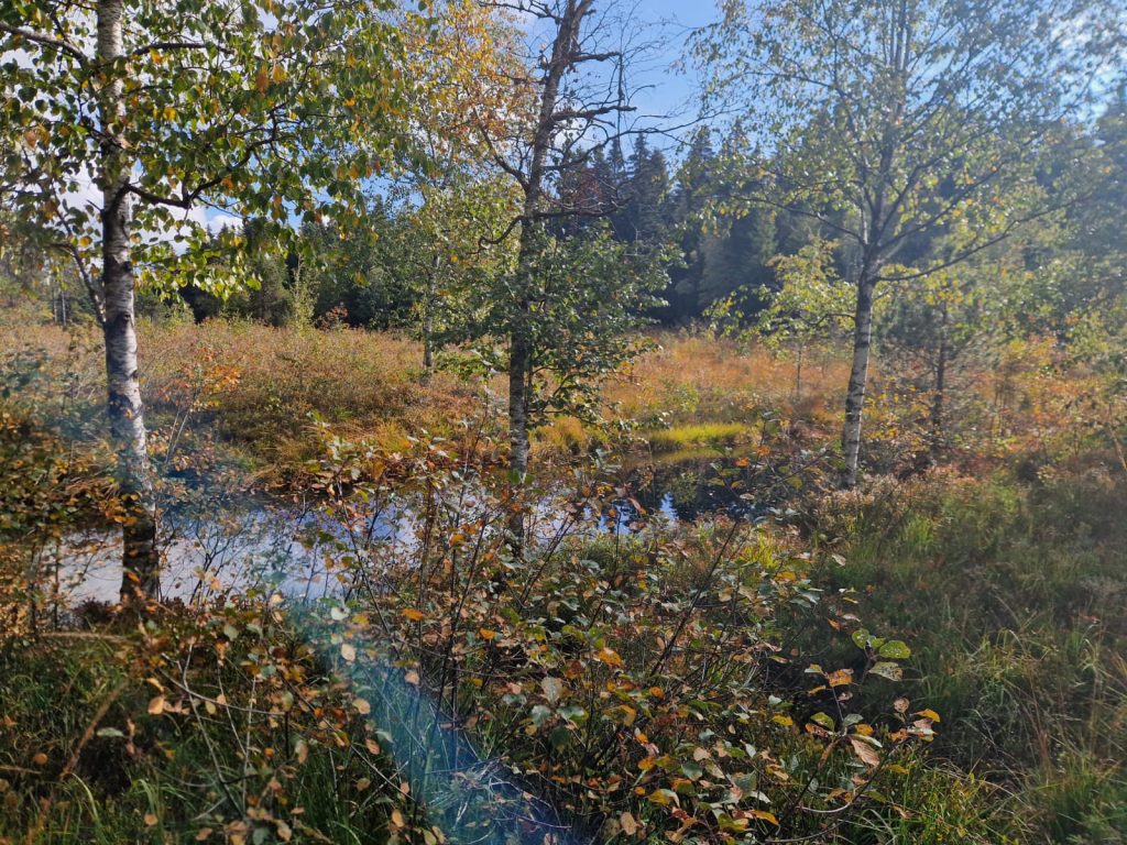 20161003_Wanderung_Sulzberg_23
