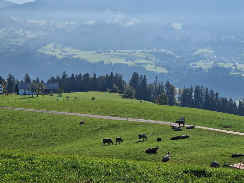 20161003_Wanderung_Sulzberg_28