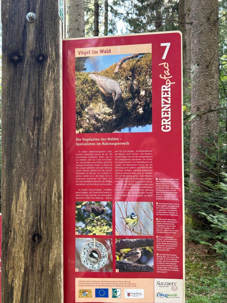 20161003_Wanderung_Sulzberg_54