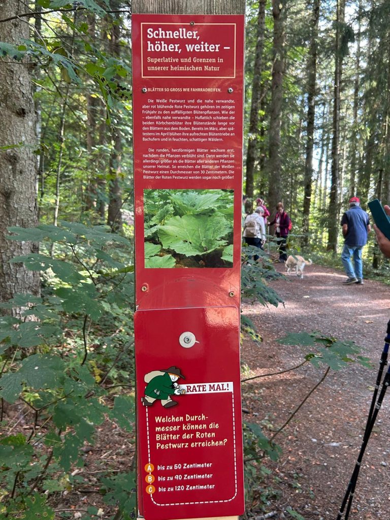 20161003_Wanderung_Sulzberg_59
